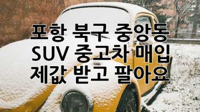 포항 북구 중앙동 SUV 중고차 매입, 제값 받고 팔아요!