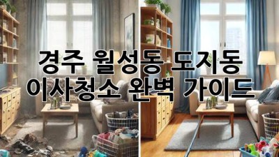 경주 월성동, 도지동 이사청소 완벽 가이드