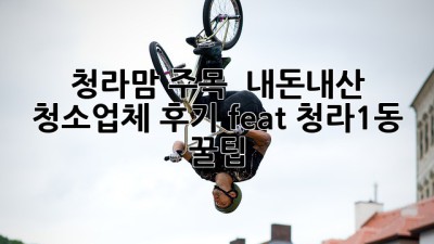 ✨ 청라맘 주목! ✨ 내돈내산 청소업체 후기 (feat. 청라1동 꿀팁) 🧹